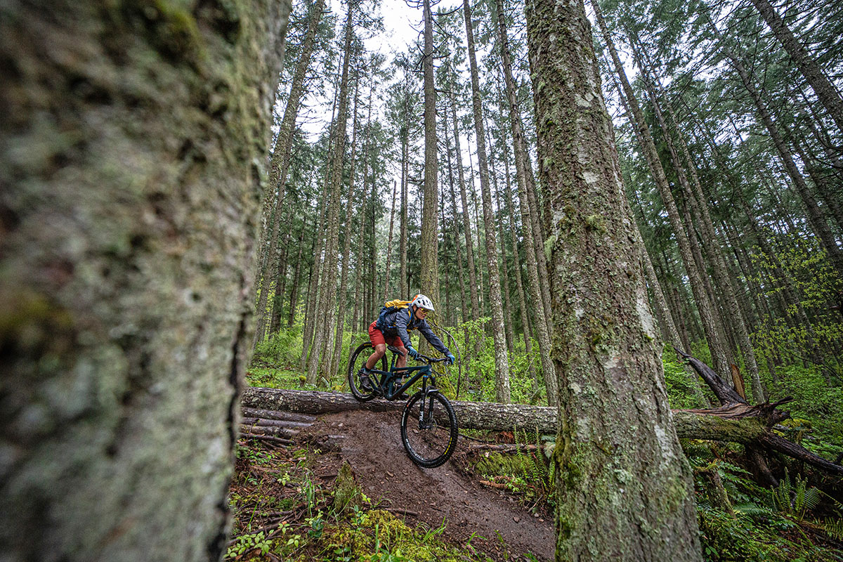 Brownie lake mountain online bike trail